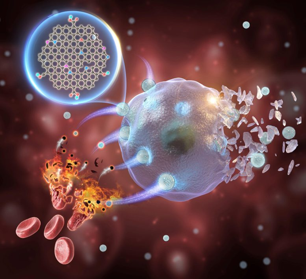 نسل بعدی درمان تومور: نانوزیم های عاری از فلز ناشی از کوانتوم دات های گرافن